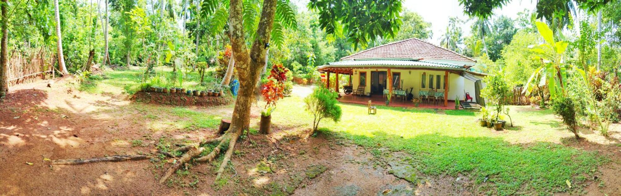 Hiriketiya Green Hill Home Dikwella Εξωτερικό φωτογραφία